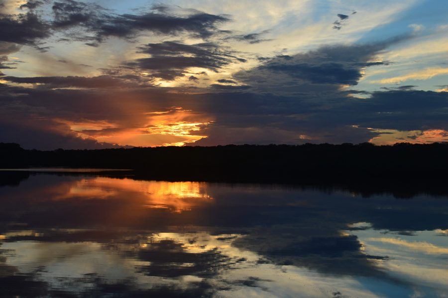 Paysage de fleuve et de forêt au coucher du soleil dans le parc national de Jaú, Amazonas.