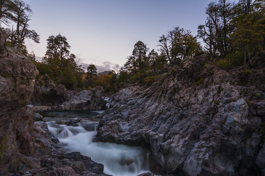 Radal Siete Tazas dans la région du Maule