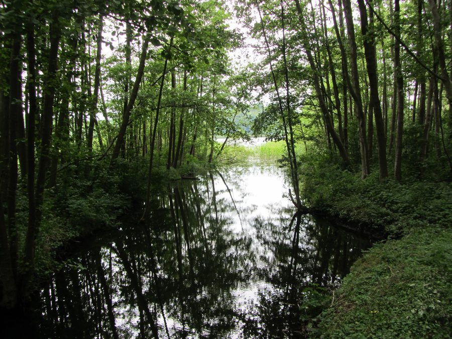 Écoulement du Passower See à Passow, dans l’arrondissement de Ludwigslust-Parchim