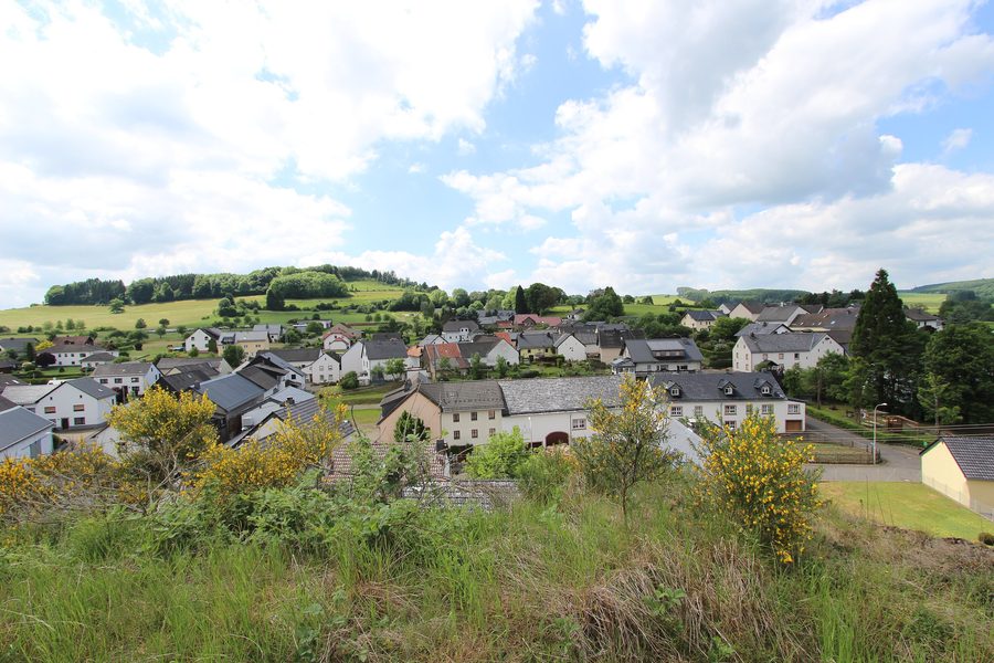 Vue panoramique sur Steffeln dans l'Eifel