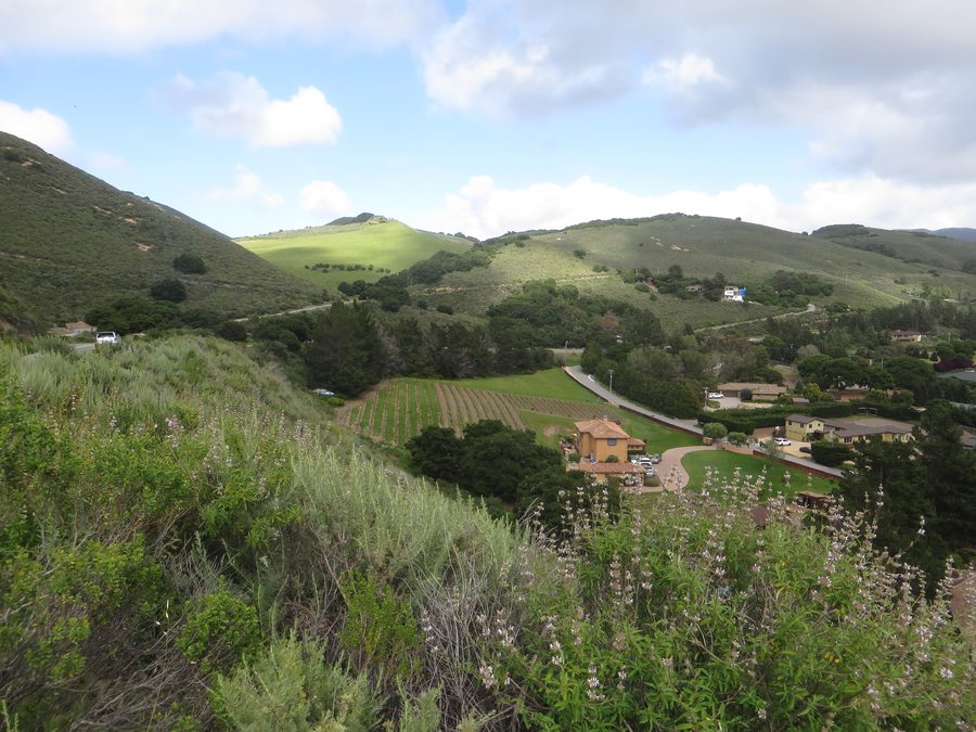 Vue de Carmel Valley Village et des collines intérieures environnantes dans le comté de Monterey, Californie