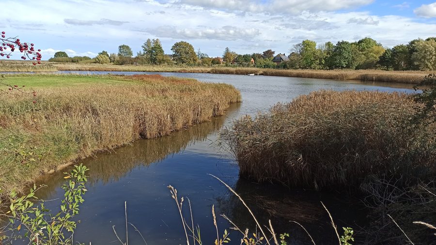 Embouchure de l’Olpenitz dans la Schlei