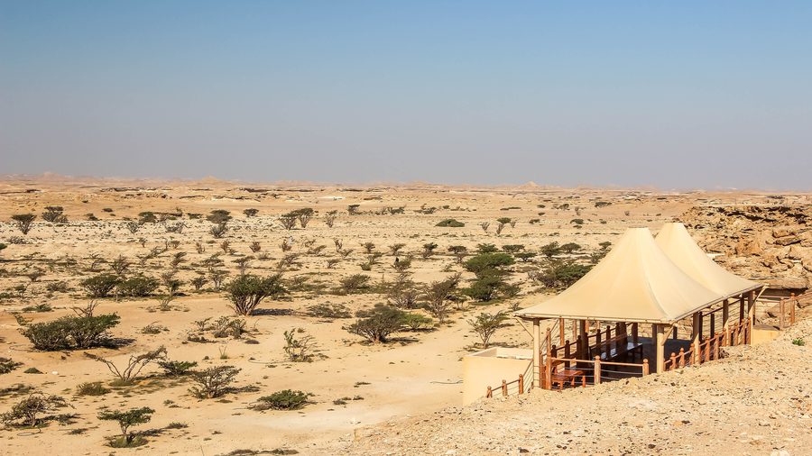 Paysage de l’encens dans le Wadi Dawkah au Dhofar, Oman