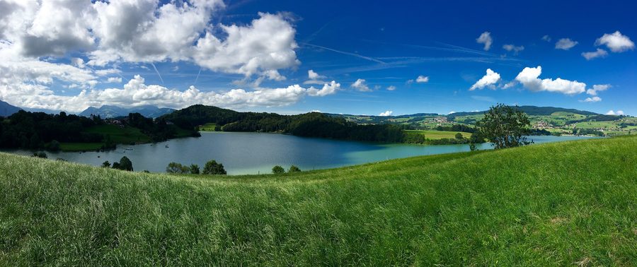 Paysage au lac de la Gruyère avec lac, rive et Alpes