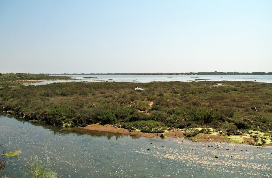 Ria Formosa avec paysage de lagune en Algarve
