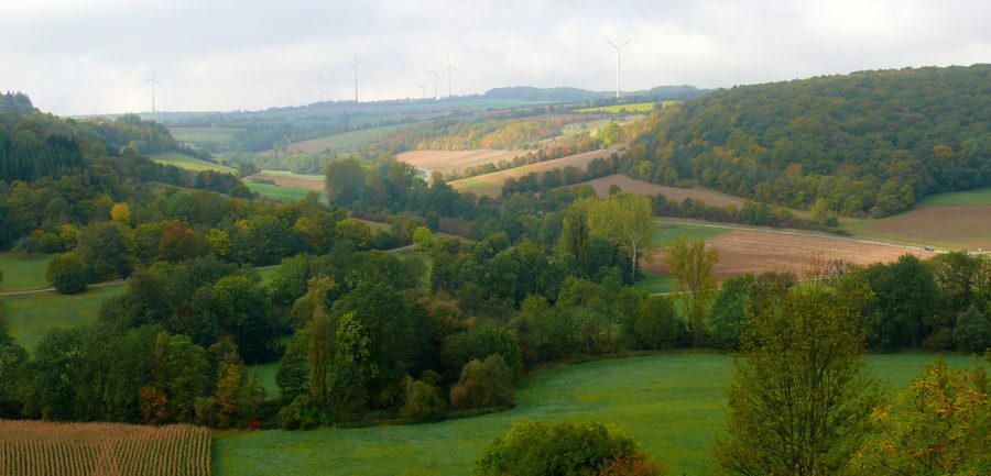 Vue sur la vallée de la Tauber au-dessus de Creglingen