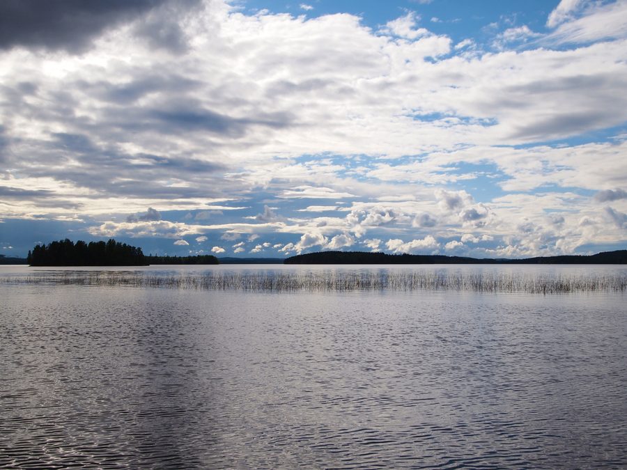Vue sur le Muuratjärvi près de Muurame avec une rive boisée