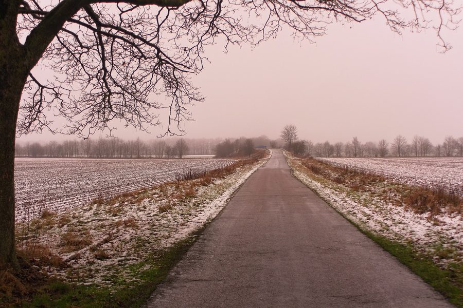 Paysage hivernal près de Tarbek dans l'arrondissement de Segeberg, dans le Schleswig-Holstein