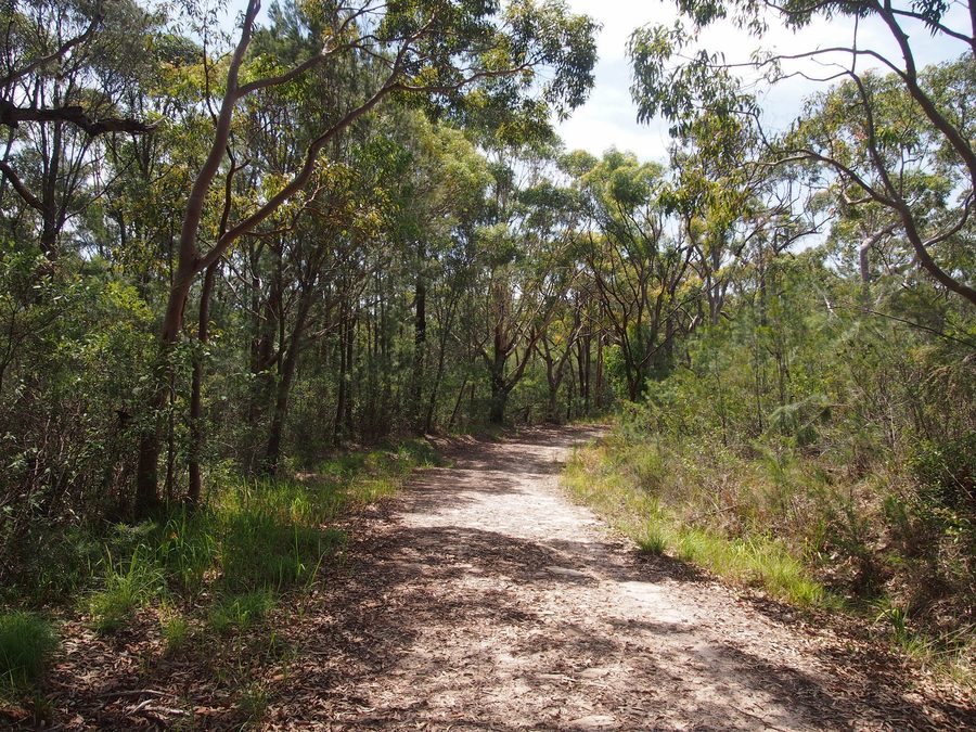 Daleys Point Fire Trail dans les environs de Killcare