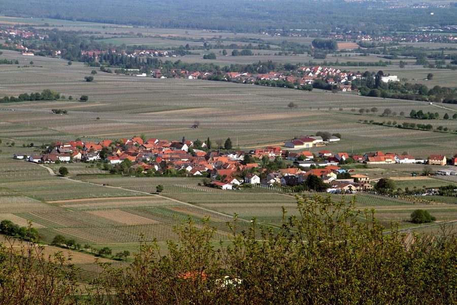 Vue depuis la chapelle Sainte-Anne sur Flemlingen et les vignobles