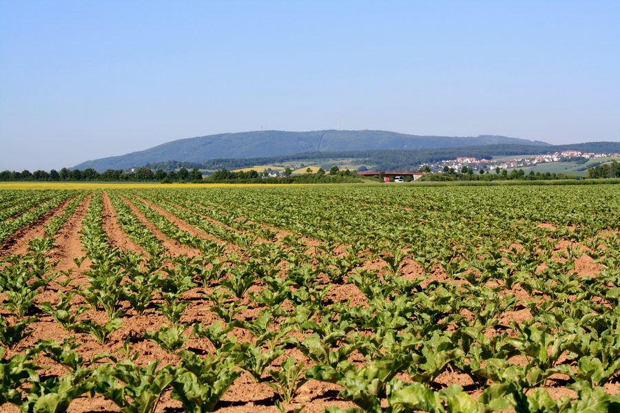 Vue du Donnersberg en Rhénanie-Palatinat depuis le nord-est