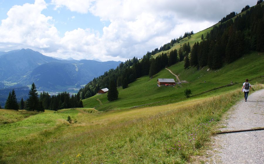 Alpages et paysage de montagne dans le Bregenzerwald, secteur Bezau–Reuthe