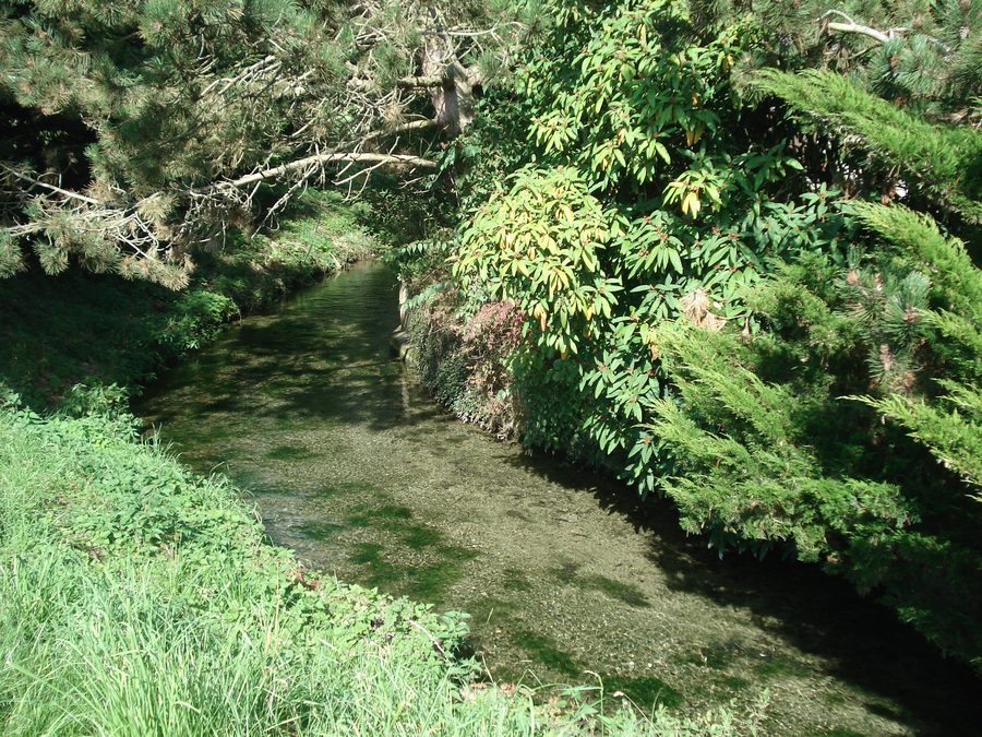 La Biberbach à Langenenslingen, peu après sa source