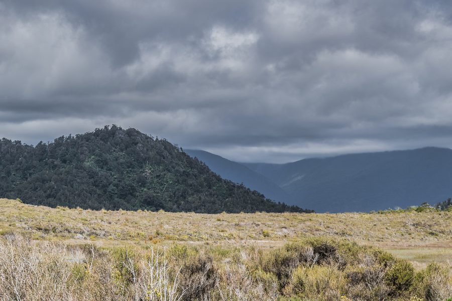 Paysage dans le parc national de Paparoa sur l’île du Sud de la Nouvelle-Zélande