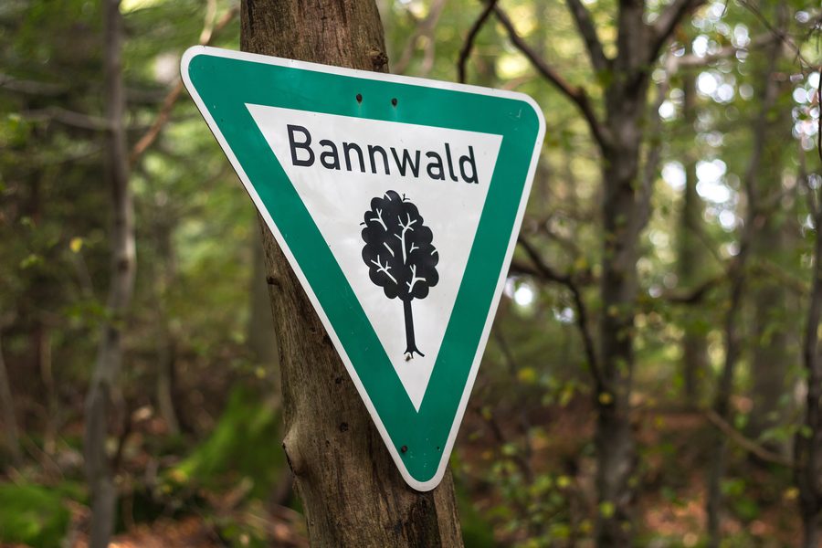 Panneau de forêt domaniale dans une zone boisée près du bassin Frau-Holle sur le Hoher Meißner