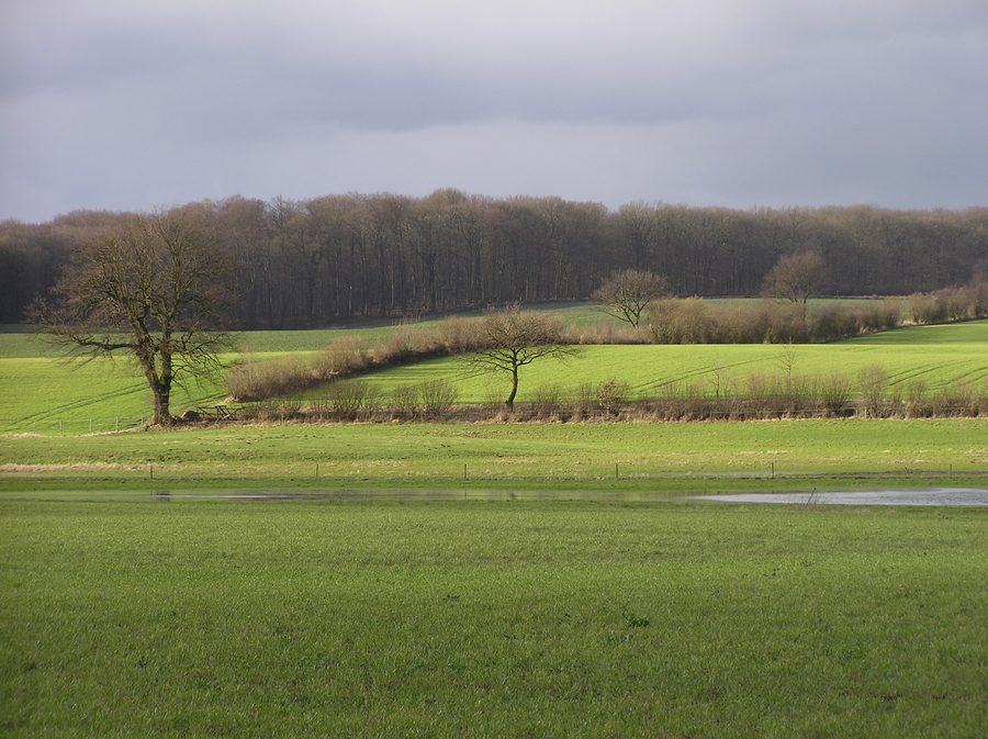 Paysage de haies autour de Köthel avec la Bille entre Stormarn et Herzogtum Lauenburg