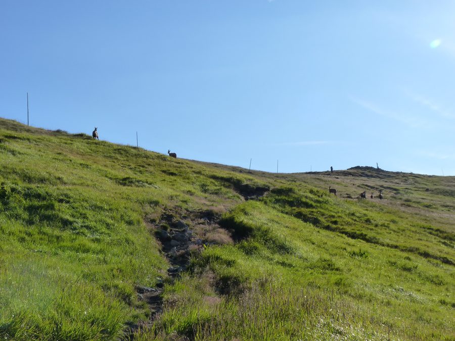 Réserve naturelle nationale de Skalka dans les Basses Tatras, Slovaquie