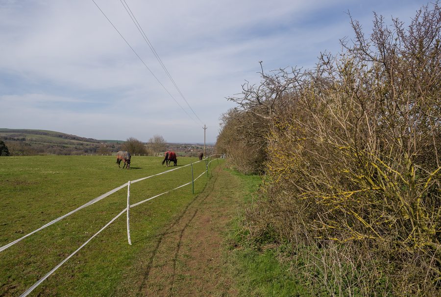 South Downs Way avec une vue vers Alfriston dans l'East Sussex
