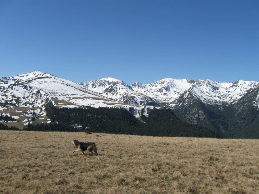 Vue sur la crête principale des monts Parâng en Roumanie