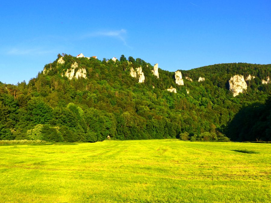 Paysage du Haut-Danube avec des versants boisés