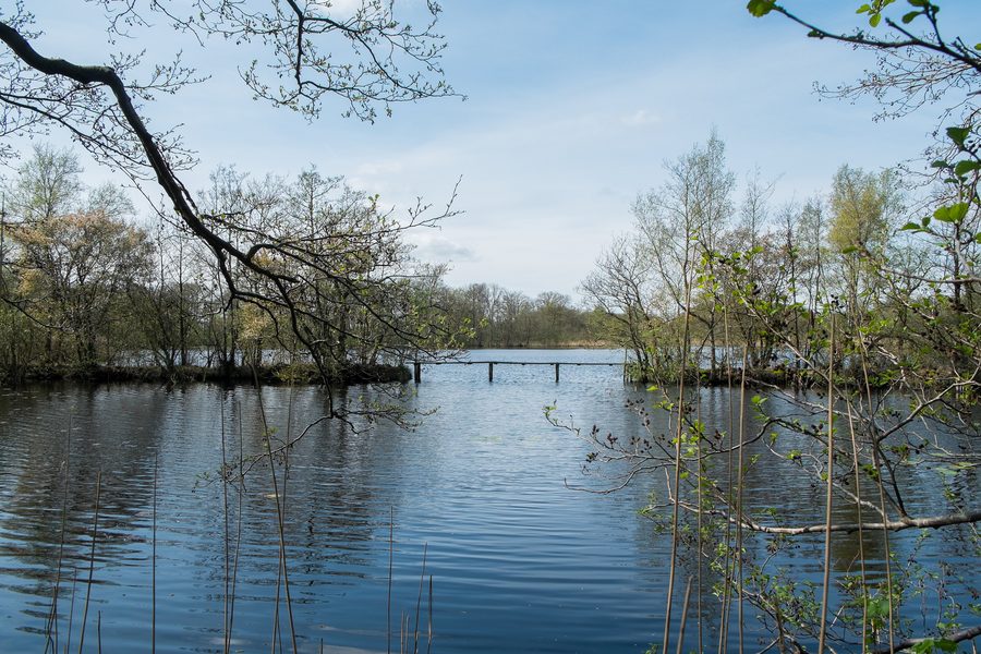 Elsburger Onland depuis le Groningerweg
