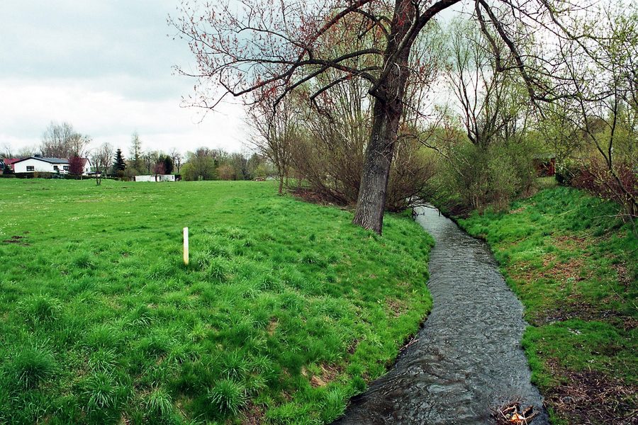 La Sülze à Dodendorf dans le Sülzetal