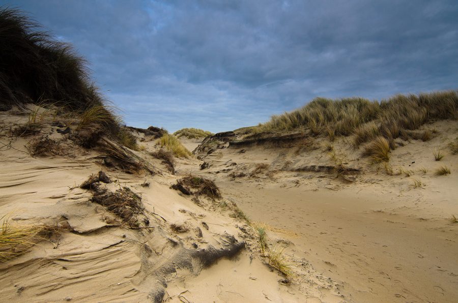 Route dans les dunes près d’Egmond aan Zee avec sable côtier et végétation