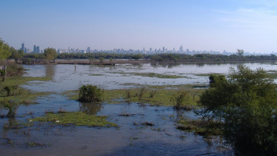 Delta du Paraná près de Rosario