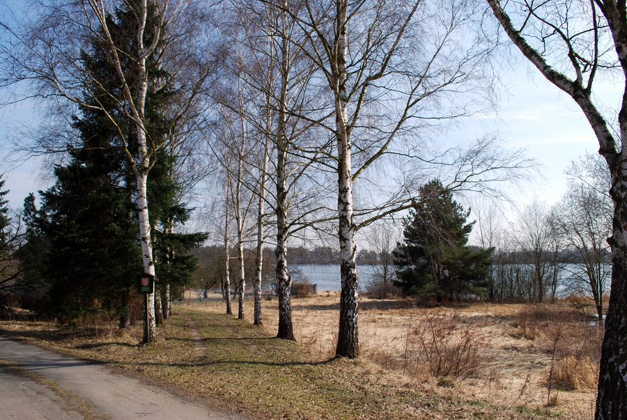 Paysage d’étangs au Ponědražský rybník près de Ponedraz