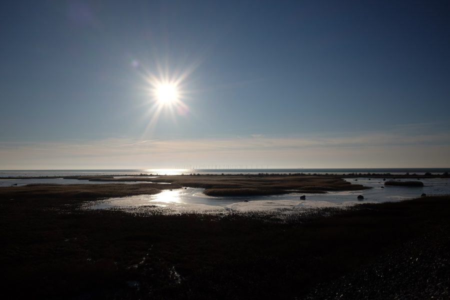 Vue sur l'Öresund vers Bunkeflo strandängar et Bunkeflostrand