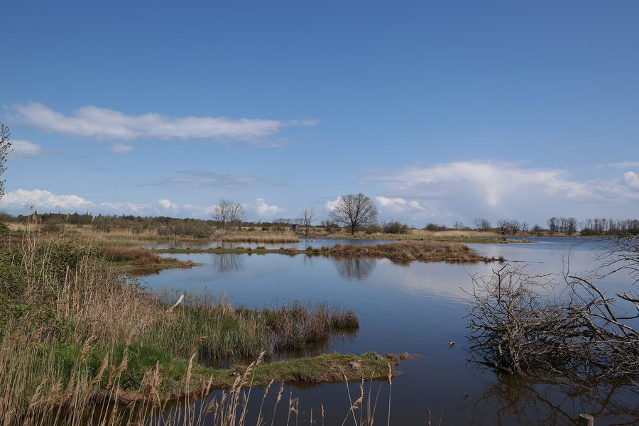 Prés salés et noeud d'eau dans la réserve naturelle de Geltinger Birk