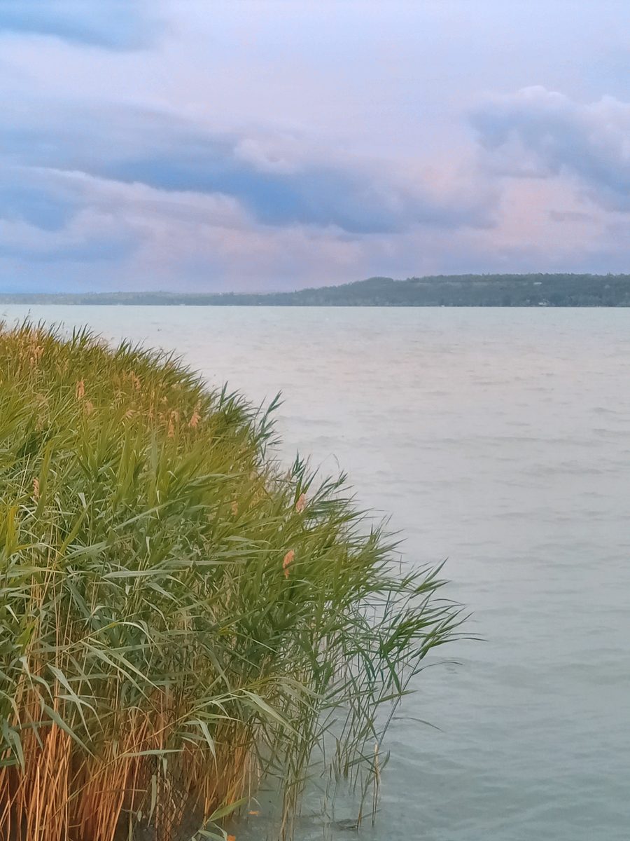 Lac Balaton près de Balatonvilágos, Hongrie