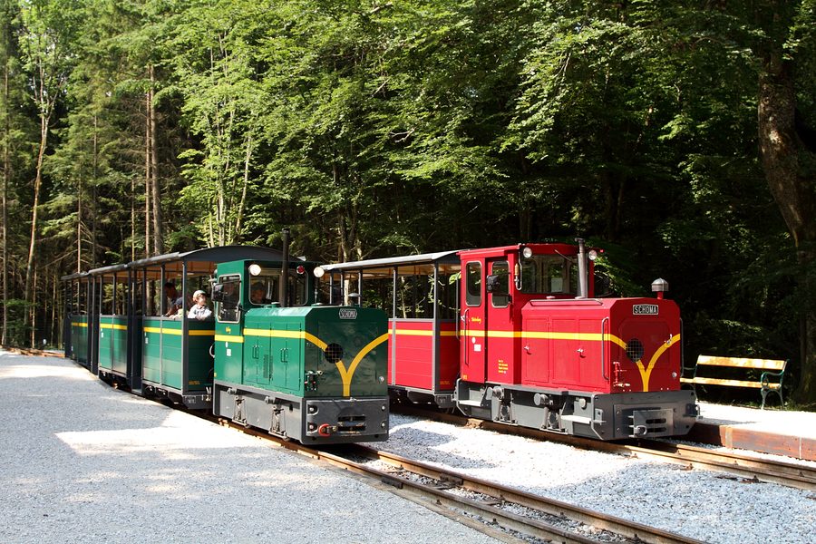 Deux trains du chemin de fer de campagne du musée de Großgmain au musée en plein air de Salzbourg