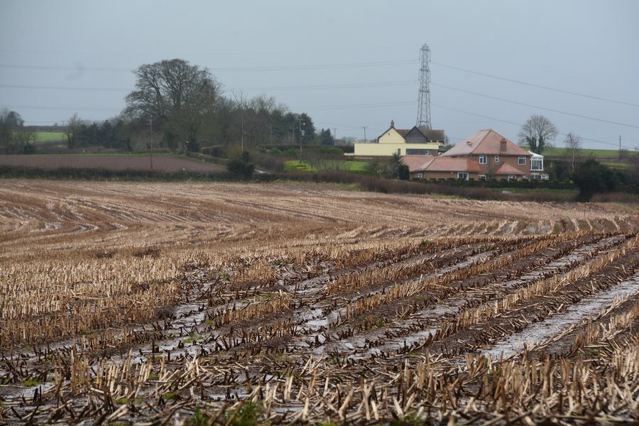 Champ près de North Petherton