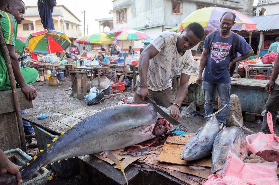 Vente de poisson sur un marché des Comores
