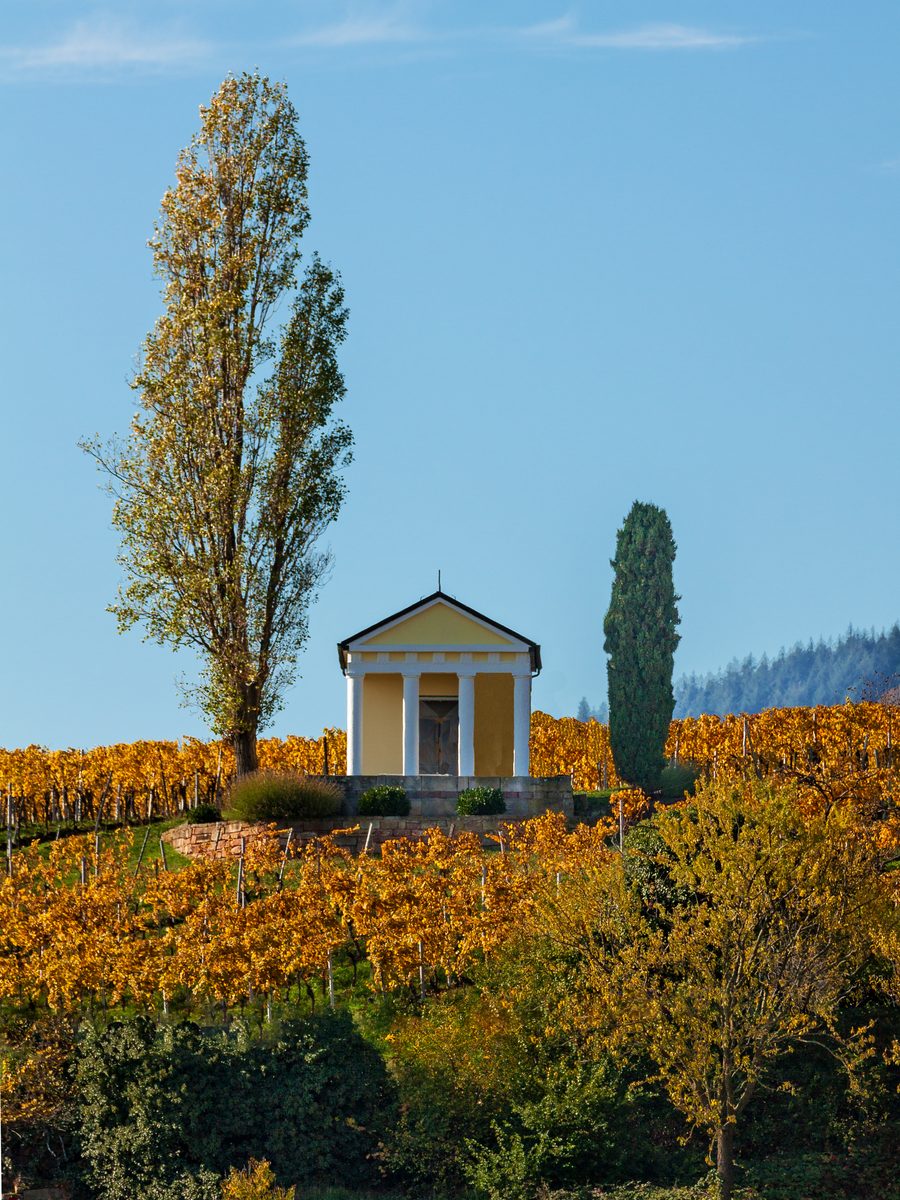 Cabane viticole sur le Heiligenberg près de Maikammer en Rhénanie-Palatinat