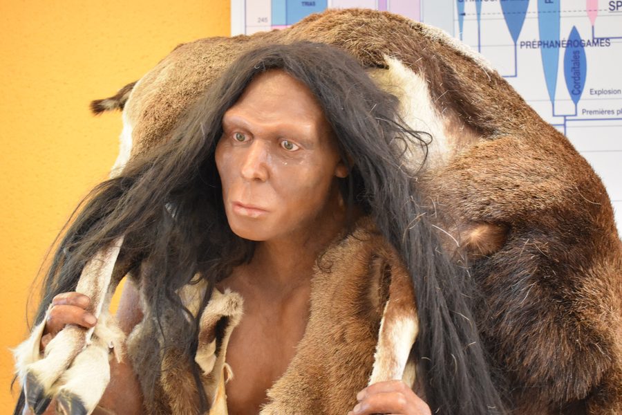 Mannequin représentant l’Homme de Tautavel