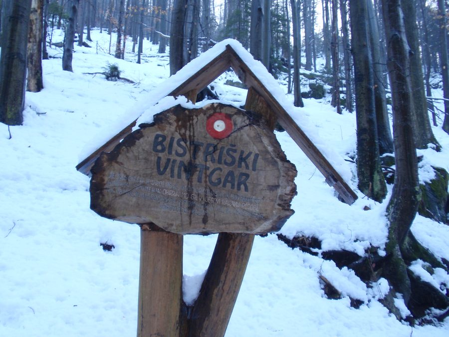 Gorge de Bistriški vintgar près de Slovenska Bistrica