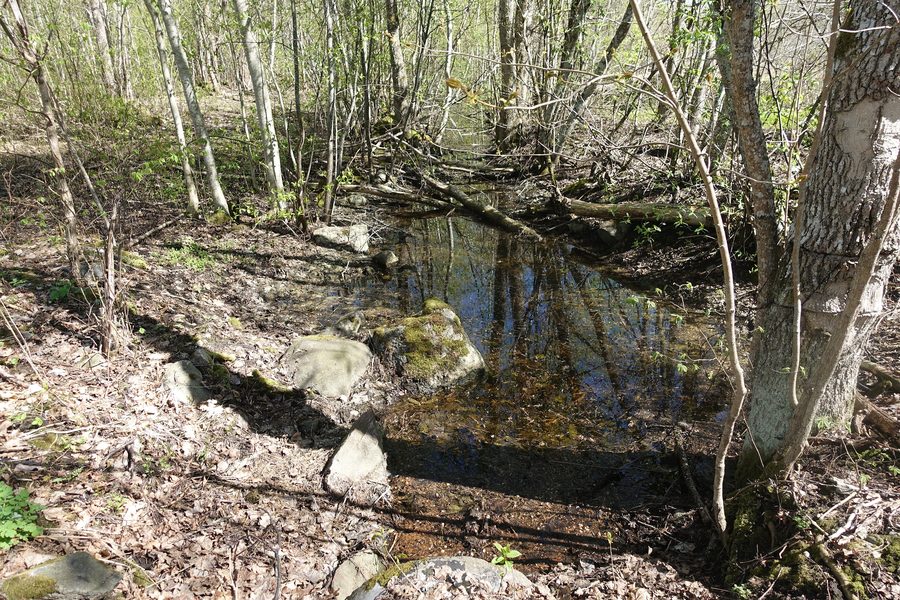La rivière Vihterpalu à Vihterpalu