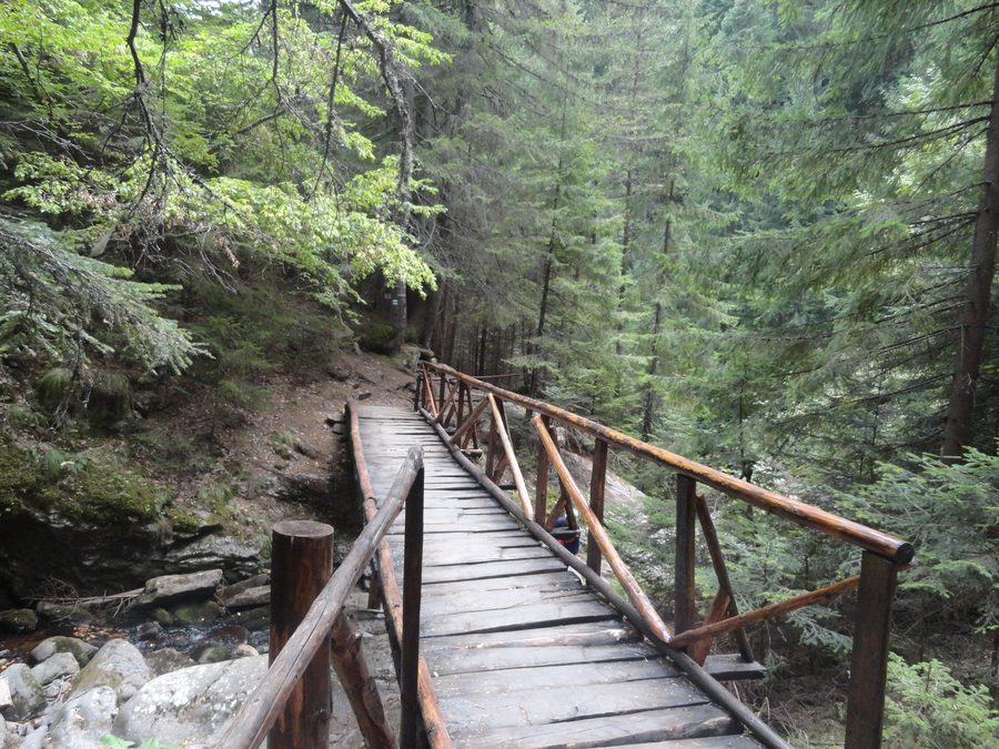 Gorge des cascades sur le sentier écologique dans les montagnes des Rhodopes près de Smolyan, Bulgarie