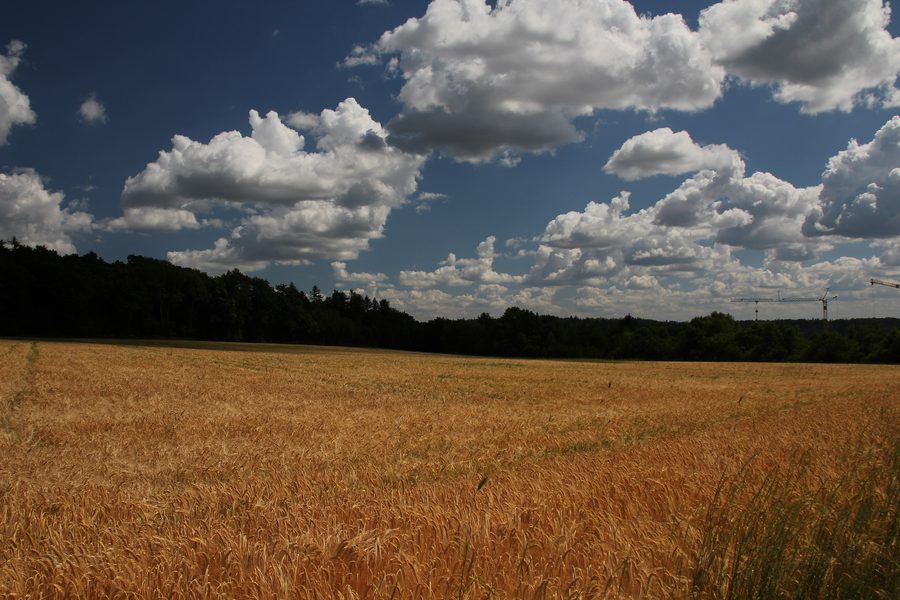 Sentier de randonnée entre Gräfenberg et Weißenohe