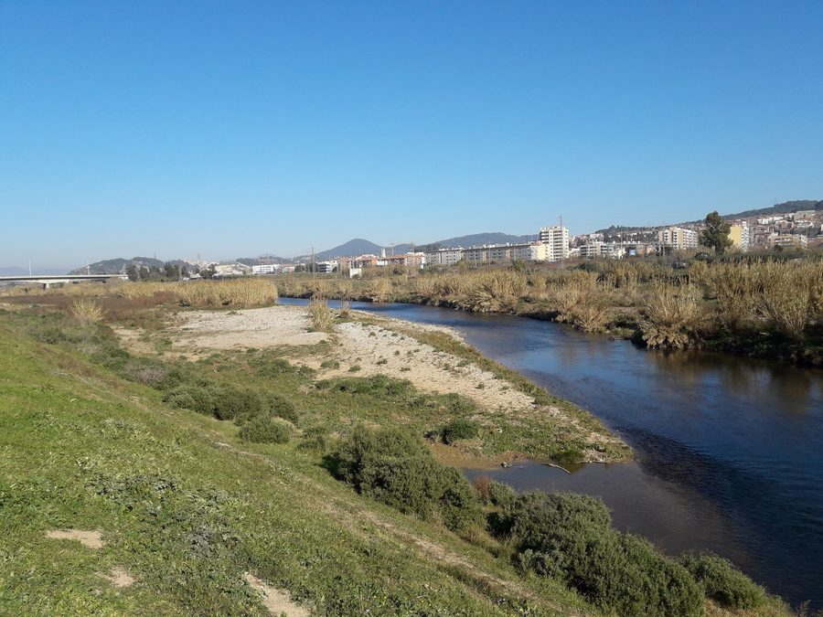 Le Llobregat entre Sant Vicenç dels Horts et Molins de Rei