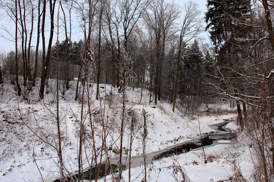 Bartoszyce. Vallée de la Suszyca.