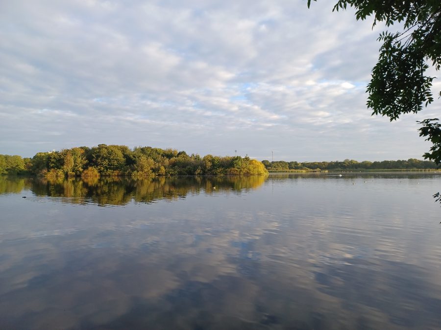 Paysage de lacs dans Utterslev Mose à Copenhague