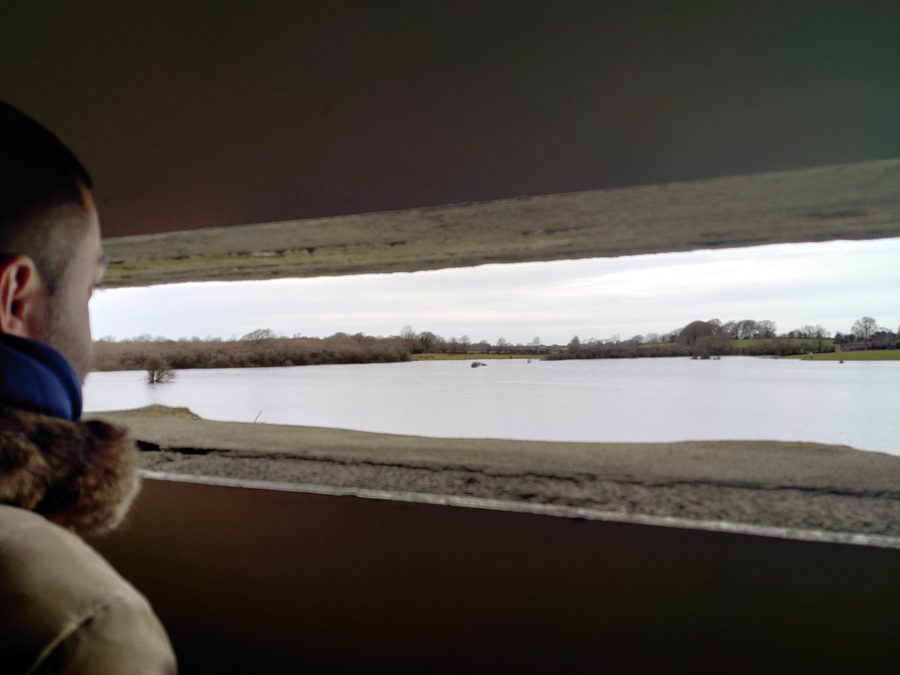 Vue sur Coole Park dans le comté de Galway