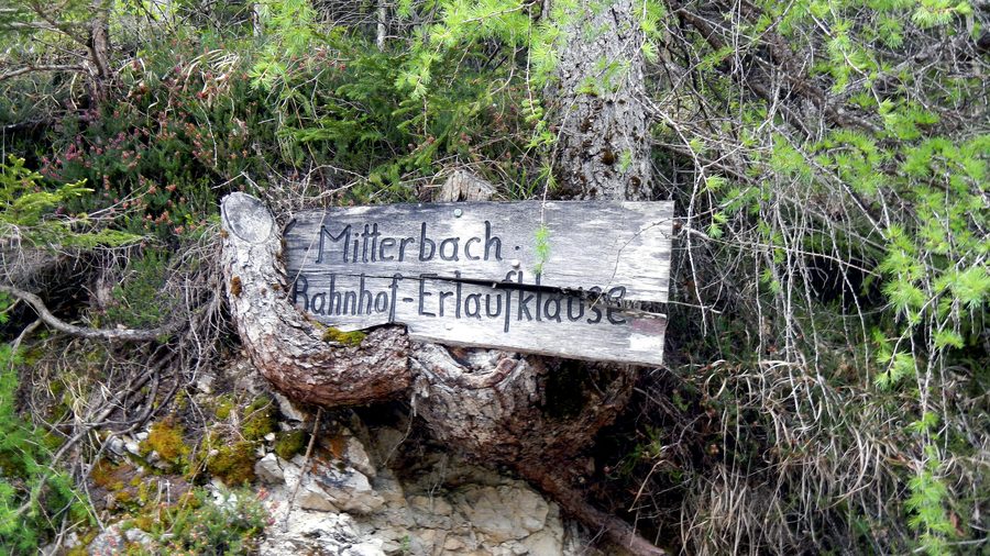 Panneau indicateur sur une route forestière vers l’Erlaufklause dans les gorges de l’Ötscher