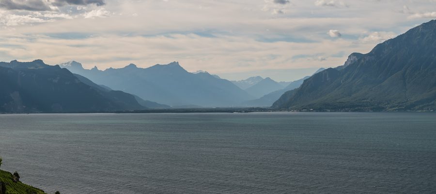 Vignobles en terrasses du Lavaux avec vue sur le lac Léman
