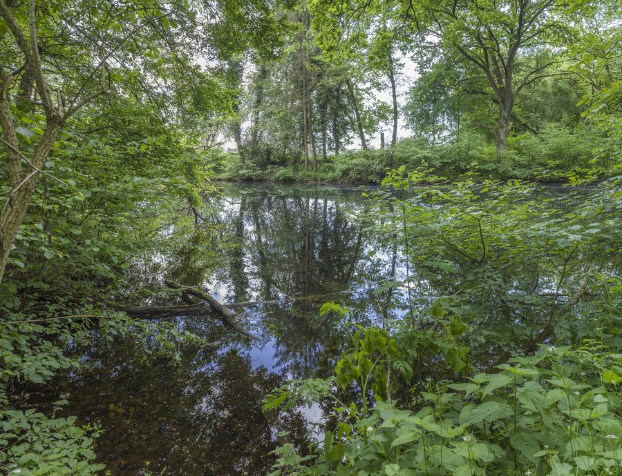 Altmaar dans le Sennfelder Seenkranz à Sennfeld