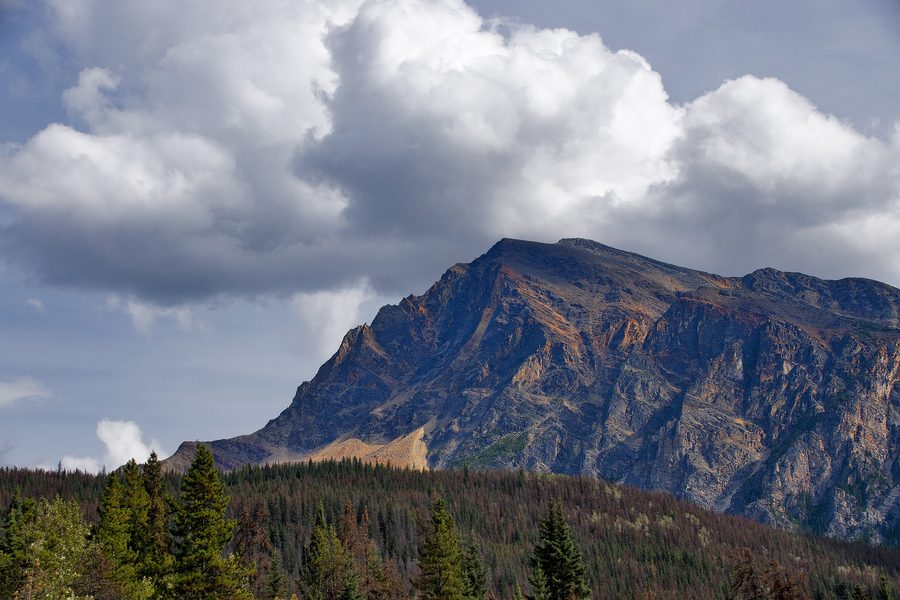 Mont Hardisty sur l’Icefields Parkway dans le parc national Jasper en Alberta