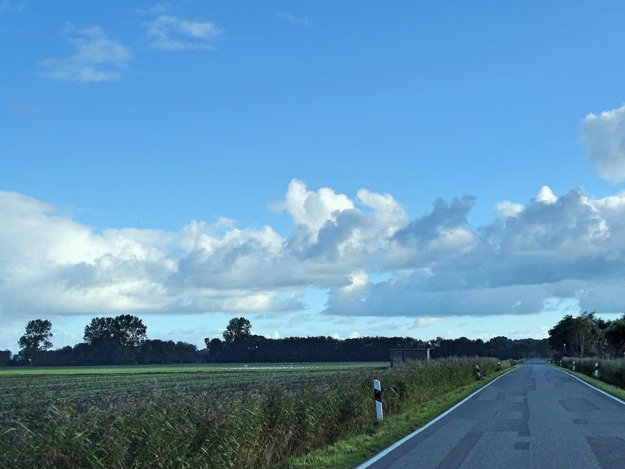 Paysage côtier dans le Wangerland avec marais, prés salés et digue de la mer du Nord